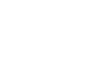 Women's Fund of Greater La Crosse logo-white